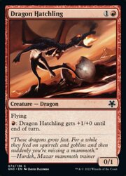 Dragon Hatchling