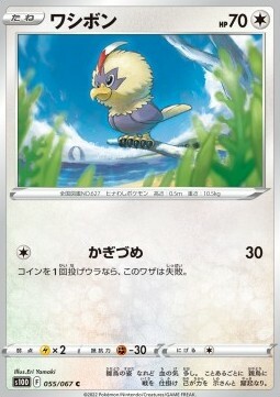 Rufflet Card Front