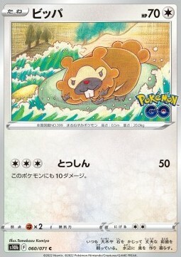 Bidoof Card Front