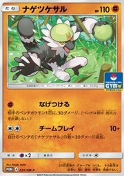 Passimian