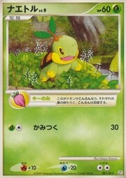 Turtwig Lv.9