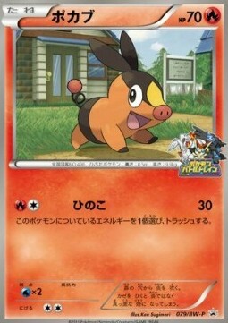 Tepig Card Front