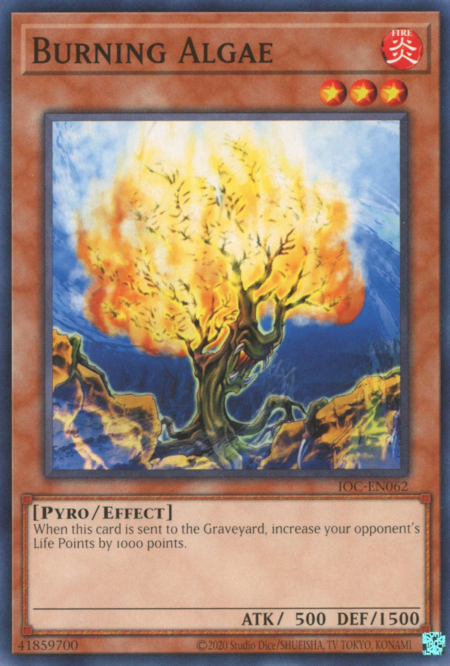 Burning Algae Card Front