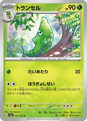 Metapod [Indurimento | Paralizzante]