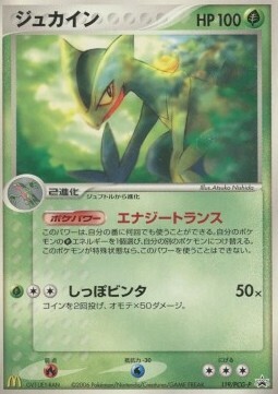 Sceptile Card Front