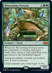 Blossoming Tortoise