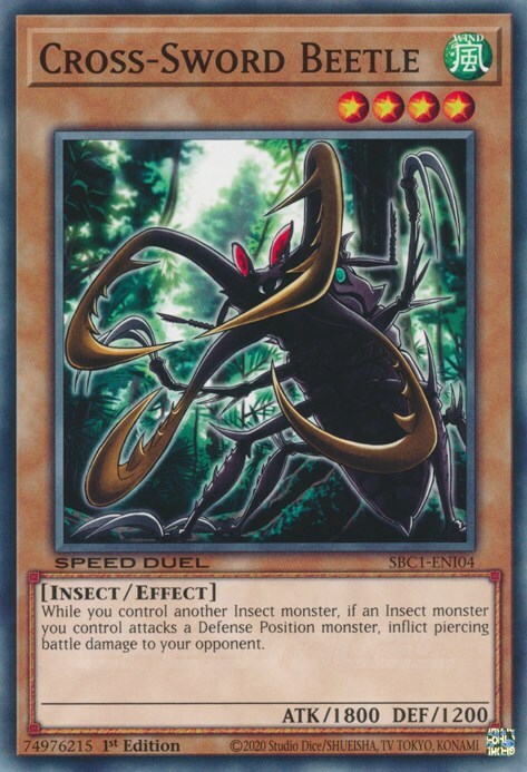 Cross-Sword Beetle Card Front