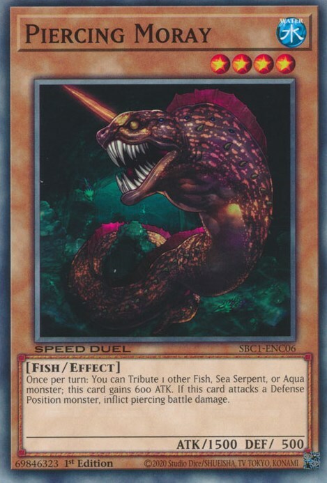 Piercing Moray Card Front