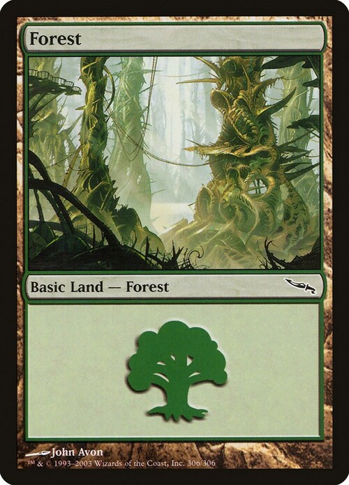 Forest Card Front