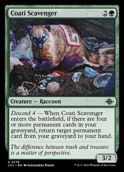 Coati Scavenger Card Front