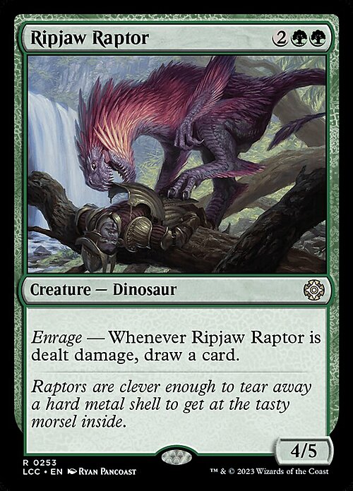 Raptor Squartamascella Card Front