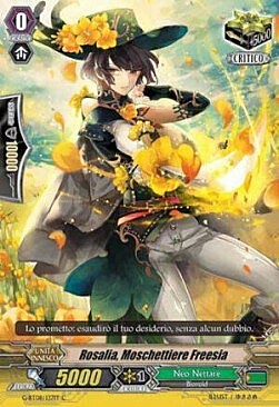 Freesia Musketeer, Rosalia Card Front