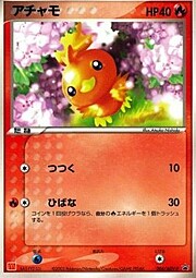 Torchic