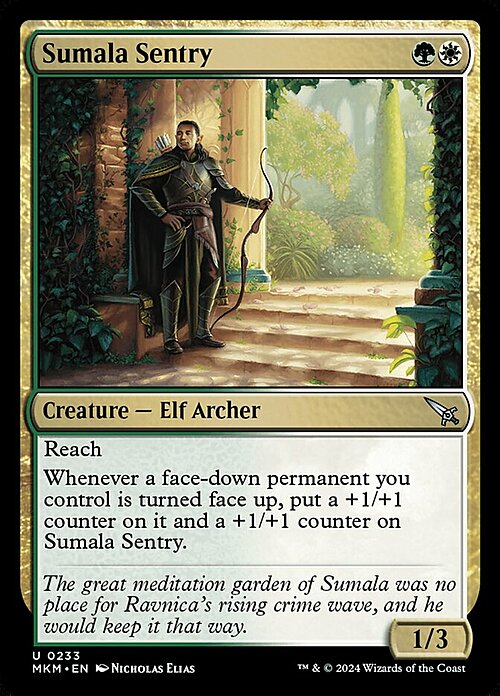 Sumala Sentry Card Front