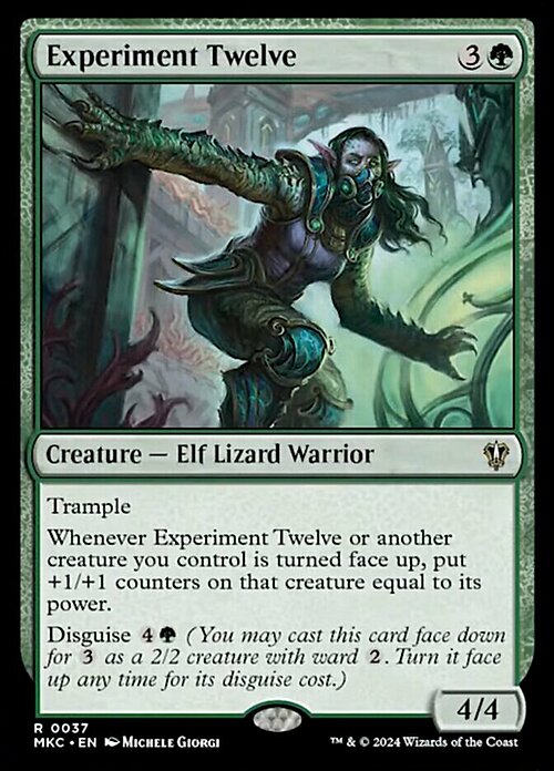 Experiment Twelve Card Front