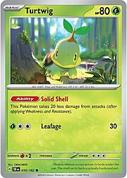 Turtwig Lv.10