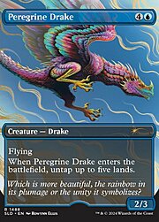 Peregrine Drake