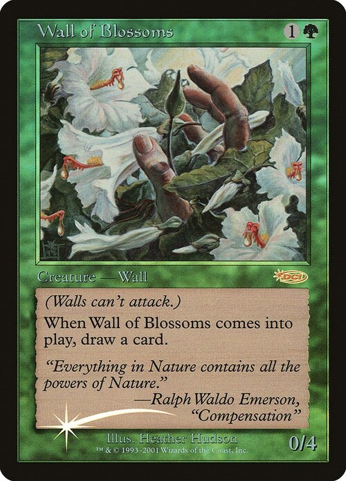 Wall of Blossoms Card Front