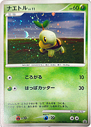 Turtwig Lv.11