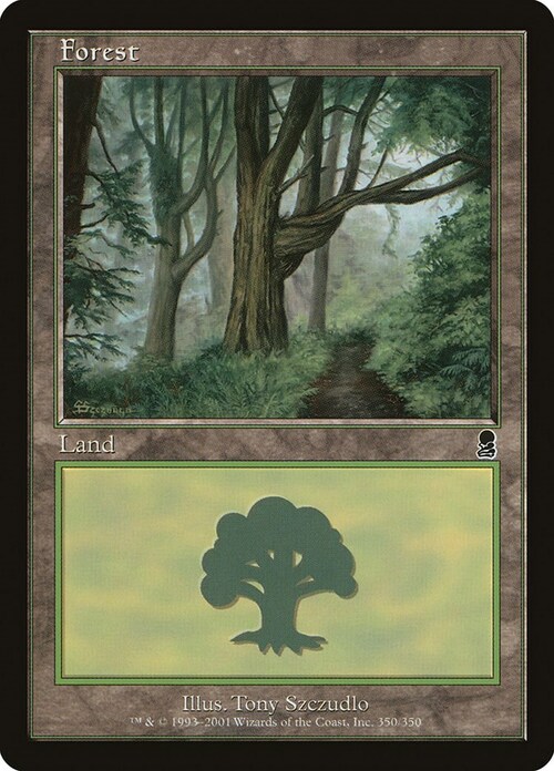 Forest Card Front