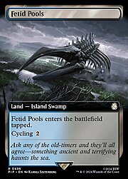 Fetid Pools