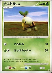 Turtwig Lv.11