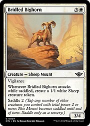 Bridled Bighorn