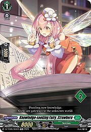 Knowledge-seeking Fairy, Strawbera