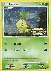 Turtwig Lv.10