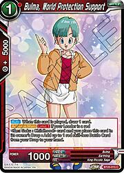 Bulma, World Protection Support