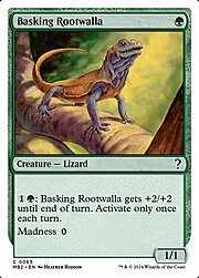 Basking Rootwalla