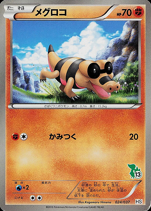 Sandile Card Front