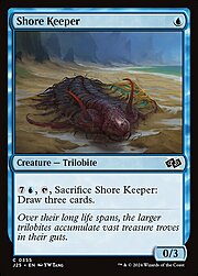 Shore Keeper