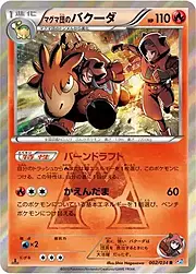 Team Magma's Camerupt