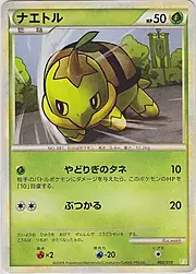 Turtwig