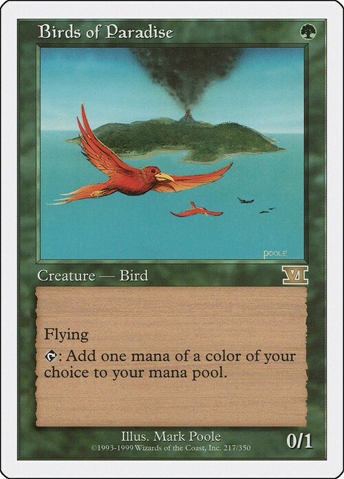 Birds of Paradise Card Front