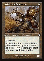 Wild-Field Scarecrow