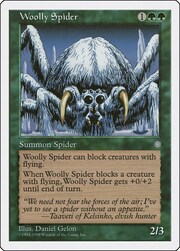 Woolly Spider