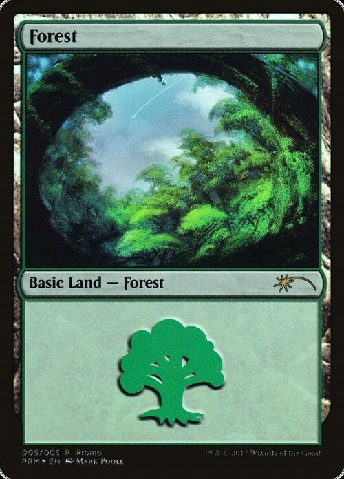 Forest Card Front