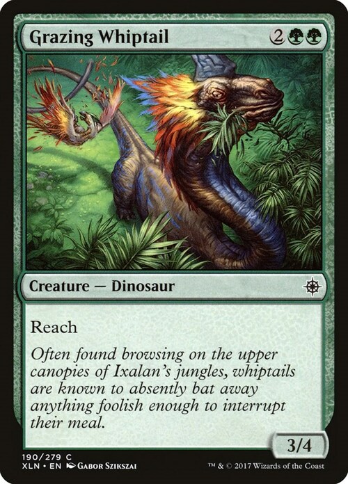 Grazing Whiptail Card Front