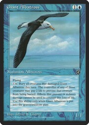 Giant Albatross