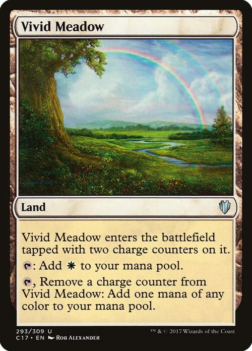 Vivid Meadow Card Front