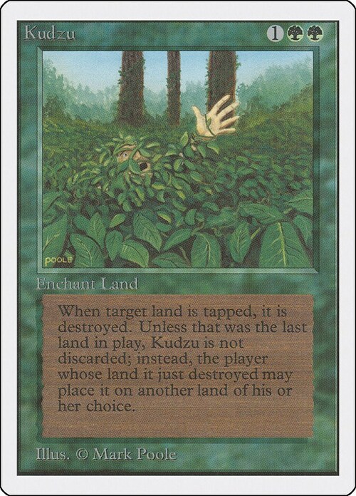 Kudzu Card Front