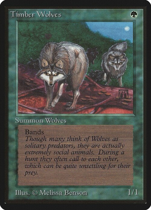 Timber Wolves Card Front