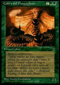 Hornet Cobra Card Front