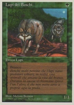 Timber Wolves Card Front