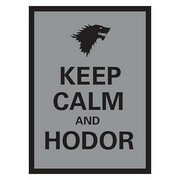 50 Keep Calm and Hodor Sleeves