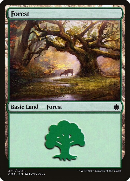 Forest Card Front