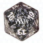 Magic 2014: Dado D20