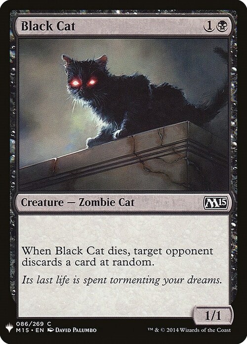 Gatto Nero Card Front